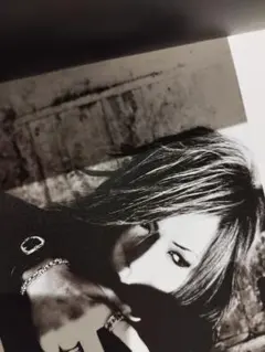 the GazettE BURST INTO A BLAZE パンフレット V系 - メルカリ