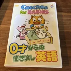 キャットチャット　DVD 7セット キャットチャット DVD 7セット キャットチャット DVD 7セット