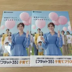 匿名配送 非売品 白石麻衣 クリアファイル フラット35 2枚セット