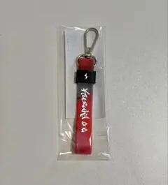 SHES ラバーバンド 武道館 DVD - メルカリ