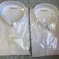 半袖ワイシャツ2枚セット 4L