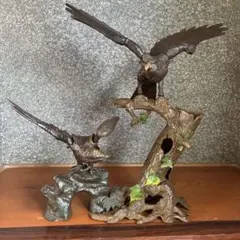 ニ*ィ様 剥製 鷹 - メルカリ