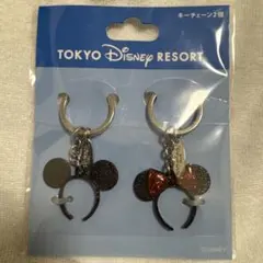 東京ディズニーリゾート キーチェーン 2個セット