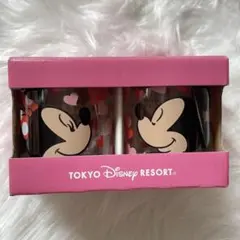 【新品】東京ディズニーリゾート ミッキー ミニー ペアグラス タンブラー