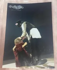 After the Rain　2017日本武道館　プロマイド　猫耳