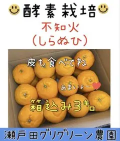 2026年最新】訳ありポンカンの人気アイテム - メルカリ
