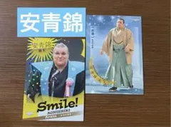 Item thumbnail for item c6badee6-0e7b-4370-b2ec-50c5ae0b64ed