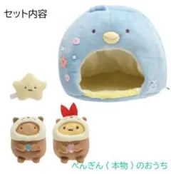 すみっコぐらし　スミッコハウス ぺんぎん(本物)のおうち