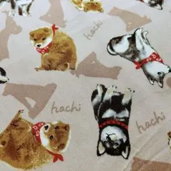 生地ハギレ★柴犬♡Hachi (ピンク) オックス