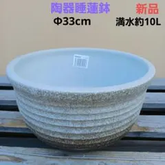 新品 33cm 陶器 睡蓮鉢 メダカ鉢 難有 ラリマーブルー スカイブルーSWC