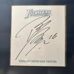達孝太 直筆サイン色紙 北海道日本ハムファイターズ