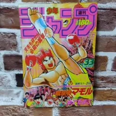 2026年最新】キックボクサーマモルの人気アイテム - メルカリ