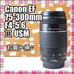 ✨訳あり特価品✨Canon EF 75-300mm F4-5.6 Ⅲ USMのサムネイル