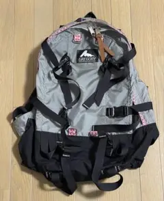 2026年最新】GREGORY グレゴリー デイアンドハーフ グレーの人気 