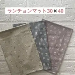 ランチョンマット　30✖️40 女の子　　ナチュラルフラワー3枚セット