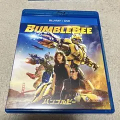 tochiken33様 リクエスト 2点 まとめ商品