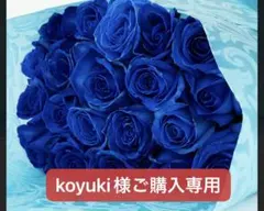 koyuki様ご購入専用