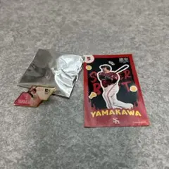 【匿名】 ホークス　山川穂高選手　鷹祭　非売品　限定品　ピンバッジ　ガチャ