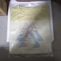THE NORTH FACE Shonan Tシャツ イエロー L