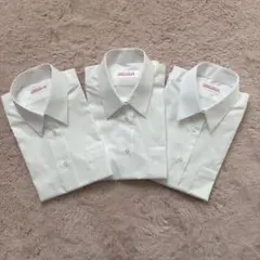 Item thumbnail for item 62b9e839-4fff-41ac-85cf-b2a31f63b3c3