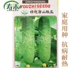 あやかfox様 リクエスト 4点 まとめ商品