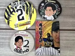 阪神タイガース 虎男ガチャ 開幕戦2026バージョン 缶バッジ 梅野隆太郎
