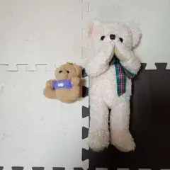 テディベア ぬいぐるみ 2体セット