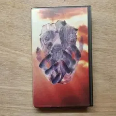 LUNA SEA Sin After Sin ルナシー シンアフターシン VHS - メルカリ