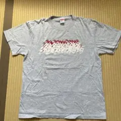 向井秀徳 写真展 Tシャツ ザゼンボーイズ ZAZEN BOYS - メルカリ