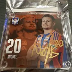 アルビレックス新潟　ミゲル　20