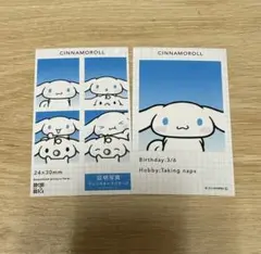 サンリオ 証明写真風スマロイド シナモン シナモロール