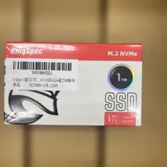 201 KingSpec XG7000 1TB SSD