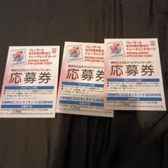 女子バレーボールトレカバインダー応募券3枚