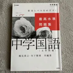 Item thumbnail for item 12b228c9-5836-4b1f-9c4f-df7d66b060ee