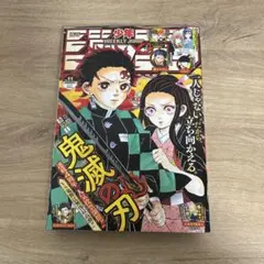 Item thumbnail for item 55a8170d-3802-4bdf-9240-db947c0a617f