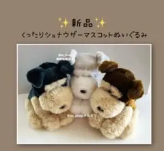 2026年最新】シュナウザー くったりの人気アイテム - メルカリ