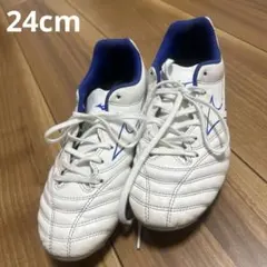 モナルシーダネオ　24cmのサムネイル