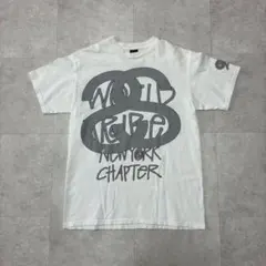 00s stussy SSリンク ロゴ tシャツ オールドステューシー