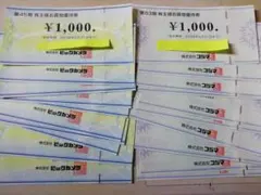 ビックカメラ コジマ　株主優待券 　24000円分