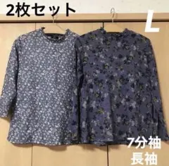 Item thumbnail for item dccadb6c-fcf0-413c-8311-2e8b5e1e11da