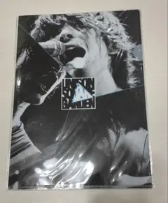 Item thumbnail for item b73e4c7d-3e13-4558-b355-fe6dcba5bc4c