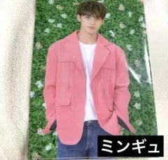 SEVENTEEN ミンギュ haru 2019 クリアファイル ファイル