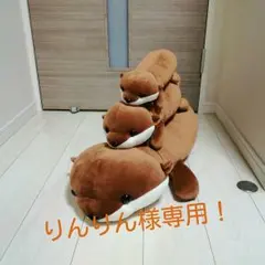 りんりん様専用