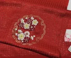 Item thumbnail for item 73579163-d17a-46d9-bbfb-63e735235e96