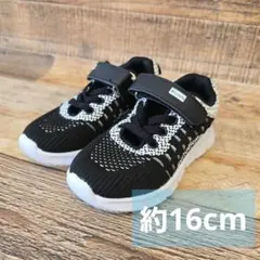 Item thumbnail for item 128348cd-33a5-40e0-b1fe-4f59e02fa52e