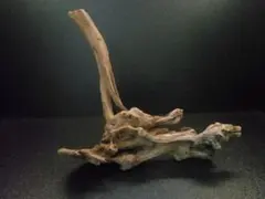 アクアリウム用流木　<270>　テラリウム　エアプランツ　爬虫類　水槽用　水草