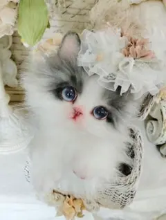 生後12日♡赤ちゃん子猫♡ネネちゃん♡猫カゴ♡お口開閉♡アートドール