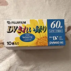 Item thumbnail for item 1c5822be-d8b3-4b5a-bcb9-e9f488f065db