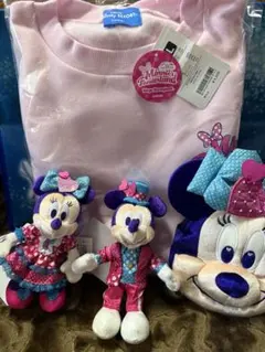 ミニーのファンタジーランド　トレーナー　ポーチバッグ　ぬいば無しの2点セット