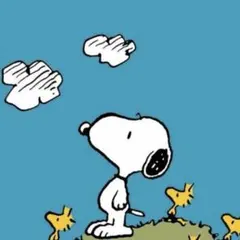 カラフルなデザインの綿プリント生地ラスト